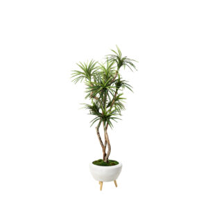 323903 D&W Silks Dracaena Tree in Triad Planter 7.5′